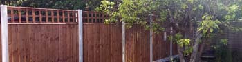 Timber fencing with concrete posts